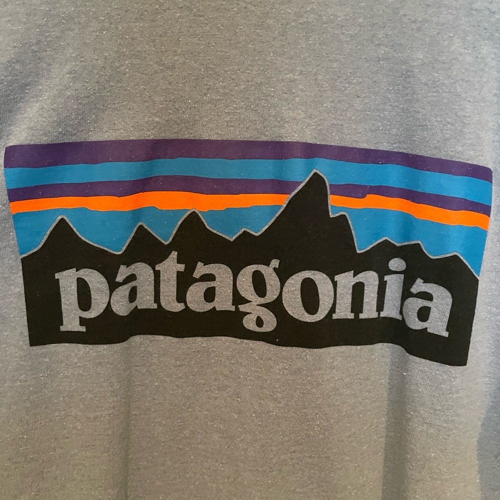 Patagonia shirt light blue size Small